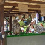 DSCN0069