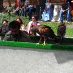 DSCN0070