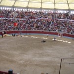 IMG_1262