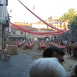 IMG_1272